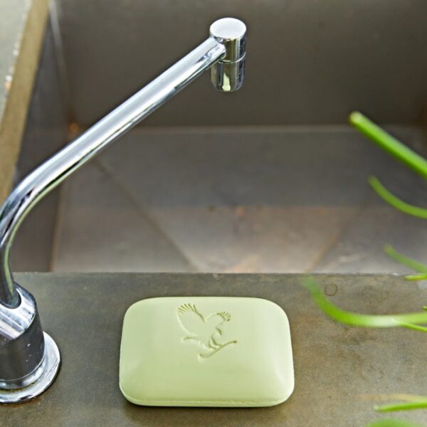 Savon Forever : Le Soin Nettoyant & Hydratant à l'Avocat pour Visage et Corps – Image 4
